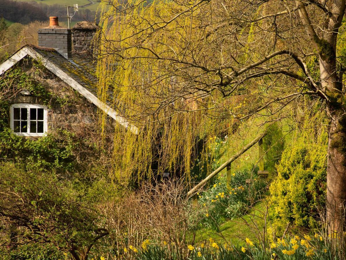 Dolgenau Cottages Trefeglwys Buitenkant foto